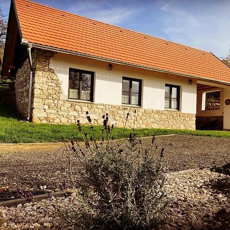 Kishosszuret Vendeghaz Hotel Pecsvarad Bagian luar foto