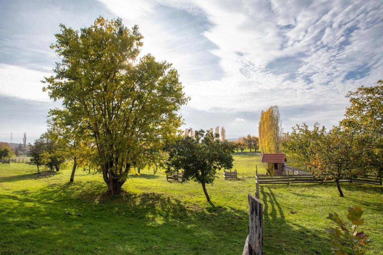 Kishosszuret Vendeghaz Hotel Pecsvarad Bagian luar foto
