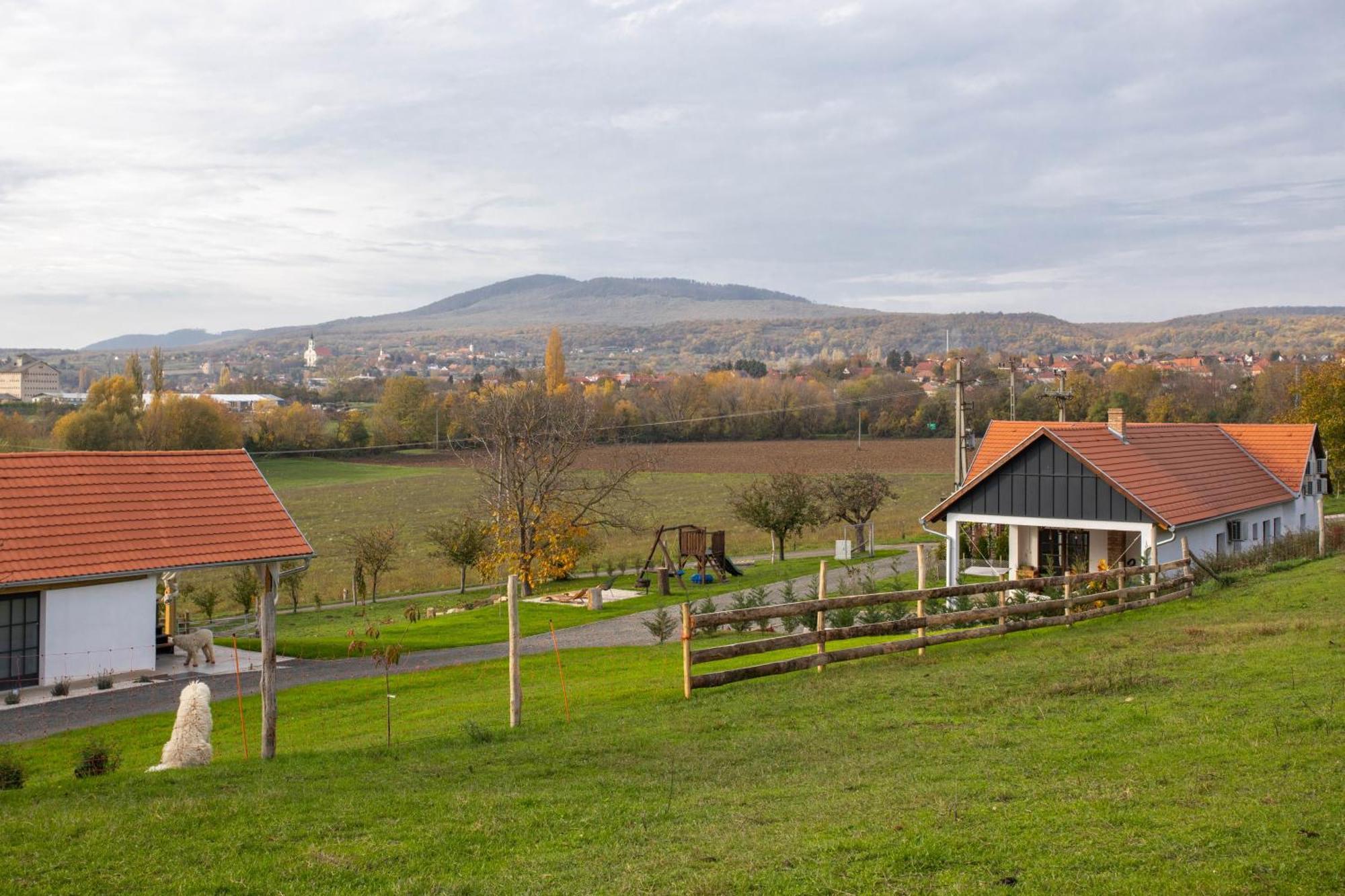 Kishosszuret Vendeghaz Hotel Pecsvarad Bagian luar foto