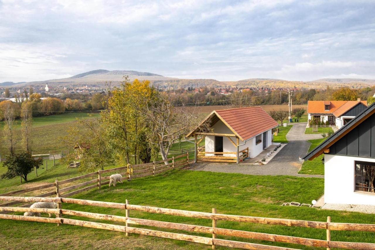 Kishosszuret Vendeghaz Hotel Pecsvarad Bagian luar foto