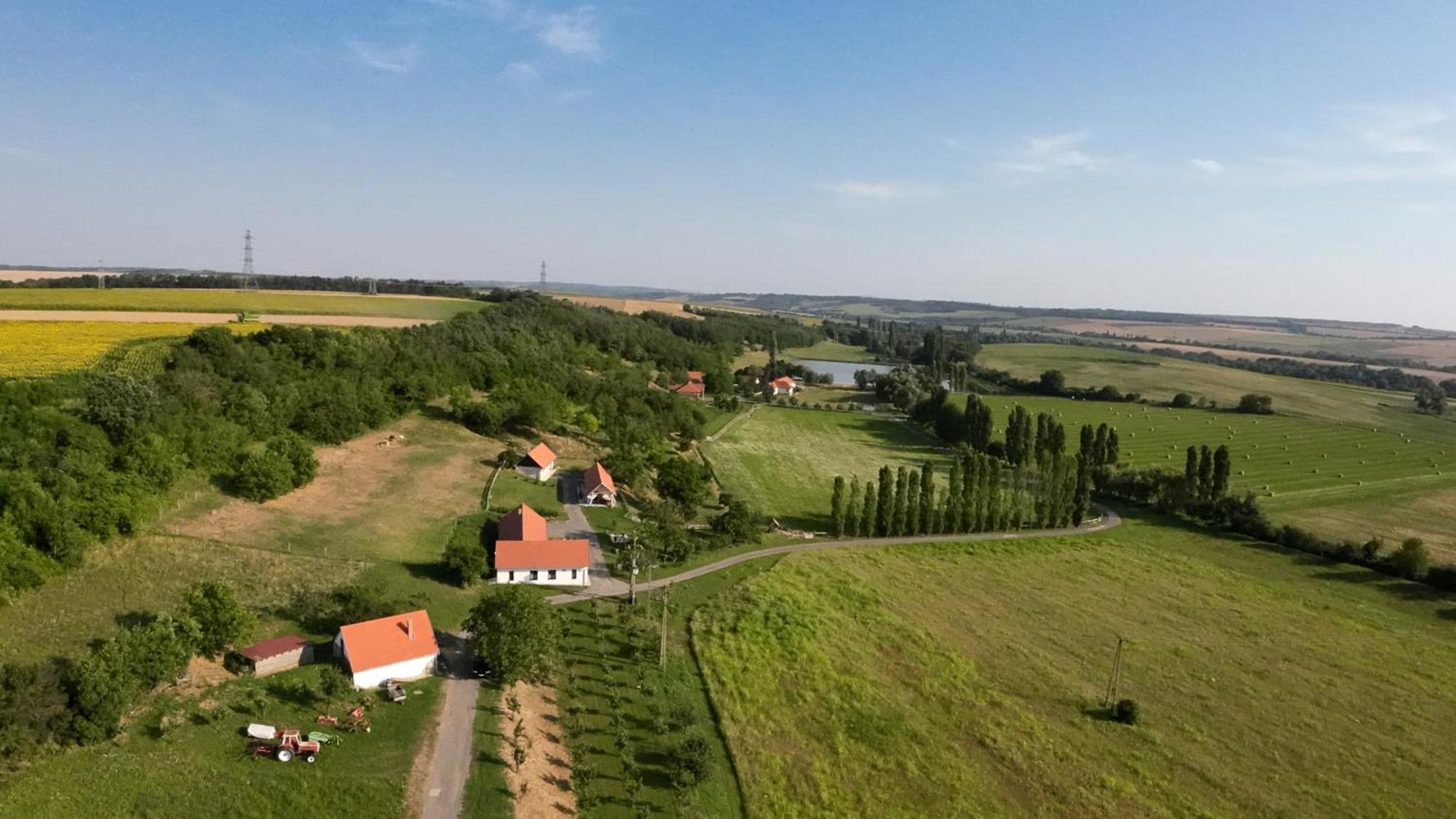 Kishosszuret Vendeghaz Hotel Pecsvarad Bagian luar foto